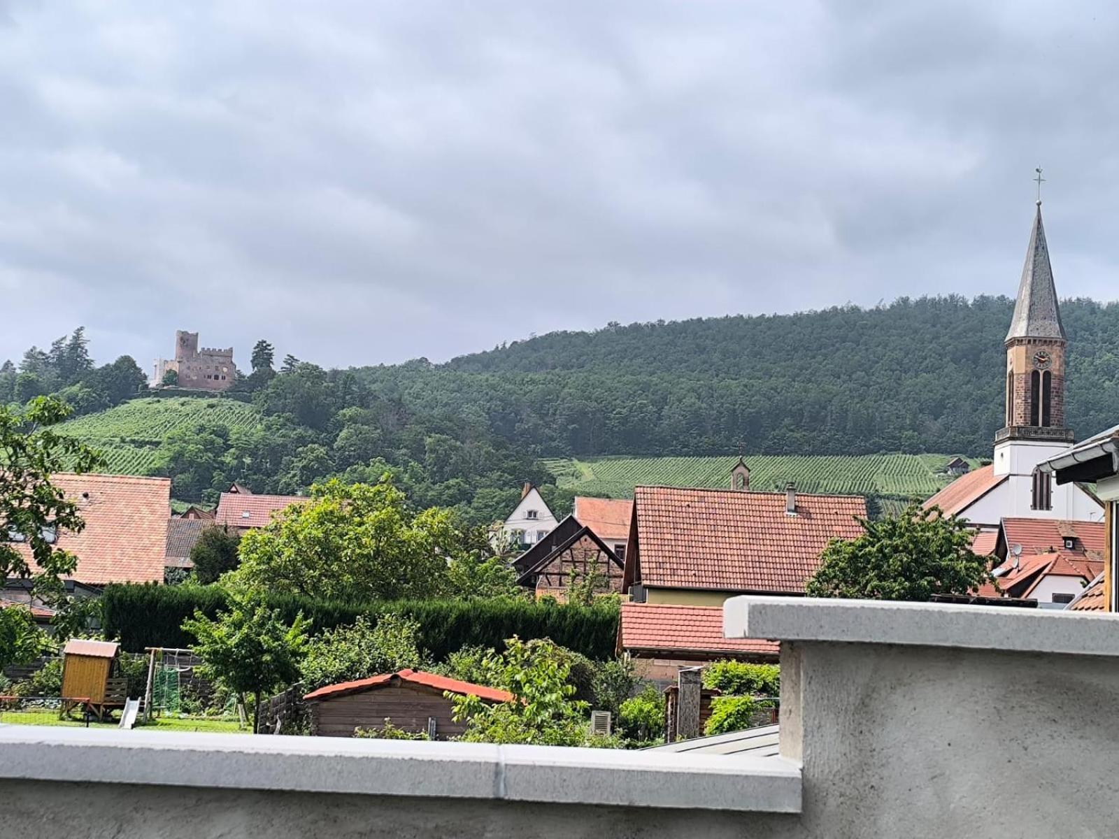 Gite Bonheur Et Charme Spa-Sauna Forfait 2H Inclus Kintzheim Luaran gambar